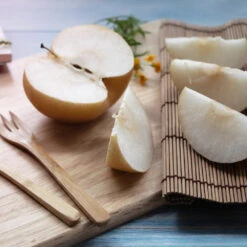 20th Century (Nijisseiki) Asian Pear 8 20th Century (Nijisseiki) Asian Pear -Plant Seed Store 20thCentury Pear 1 FGT