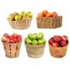 5-in-1 Apple Tree -Plant Seed Store 5 in 1 Apple 600x600 7aa95aa9 ebc1 4f49 a1e8 94e9b1d7155c