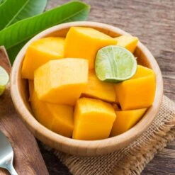 Alphonso Mango -Plant Seed Store Alphonso Mango 2 FGT