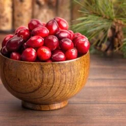 American Cranberry -Plant Seed Store American Cranberry 6 FGT
