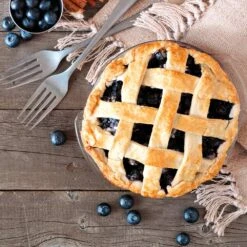 Aurora Blueberry Bush 13 Aurora Blueberry Bush -Plant Seed Store Aurora Blueberry 5