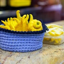 Buddha's Hand Citron Tree 11 Buddha's Hand Citron Tree -Plant Seed Store BUddhas Hand Citrus 6 FGT 8e440ac0 ef1a 452e 8576 5c1e7bf4eb5a