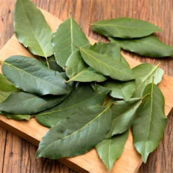 Bay Laurel - USDA Organic -Plant Seed Store Bay Laurel Shrub 70851327 054d 48bc b9c4 4f2b83269688