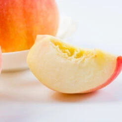 Belle Of Georgia Peach Tree -Plant Seed Store Belle of Georgia 3 ea75db8c 1c8e 47c4 9aac 3f7fe043655e