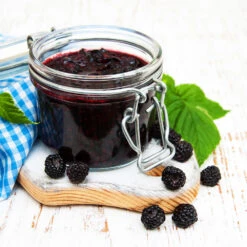 Big Daddy Blackberry Bush -Plant Seed Store Big Daddy Blackberry 3