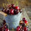 Black Tartarian Cherry Tree 2 Black Tartarian Cherry Tree -Plant Seed Store Black Tartarian Cherry Tree FGT 600x600 28289aa0 0bd3 4ccb 9169 2bf3a0eff00f