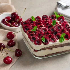 Brooks Cherry Tree -Plant Seed Store Brooks Cherry Tree 6 FGT