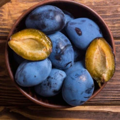 Brooks Plum Tree 11 Brooks Plum Tree -Plant Seed Store Brooks Plum 2