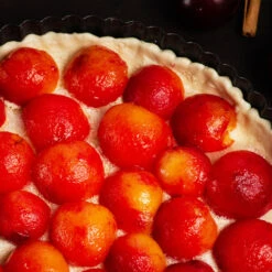 Bubblegum 'Toka' Plum Tree -Plant Seed Store Bubblegum Toka Plum 3