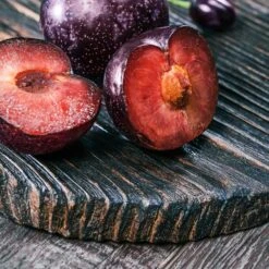 Burgundy Plum Tree -Plant Seed Store Burgundy Plum 2