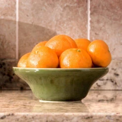 Calamondin Bush -Plant Seed Store Calamondin Bush 4