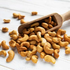 Cashew Tree 12 Cashew Tree -Plant Seed Store Cashew Nut Tree 5