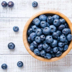 Climax Blueberry 12 Climax Blueberry -Plant Seed Store Climax Blueberry 4