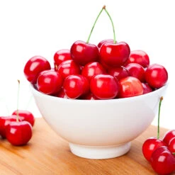 Coral Champagne Cherry Tree -Plant Seed Store Coral Champagne Cherry Tree 4 FGT