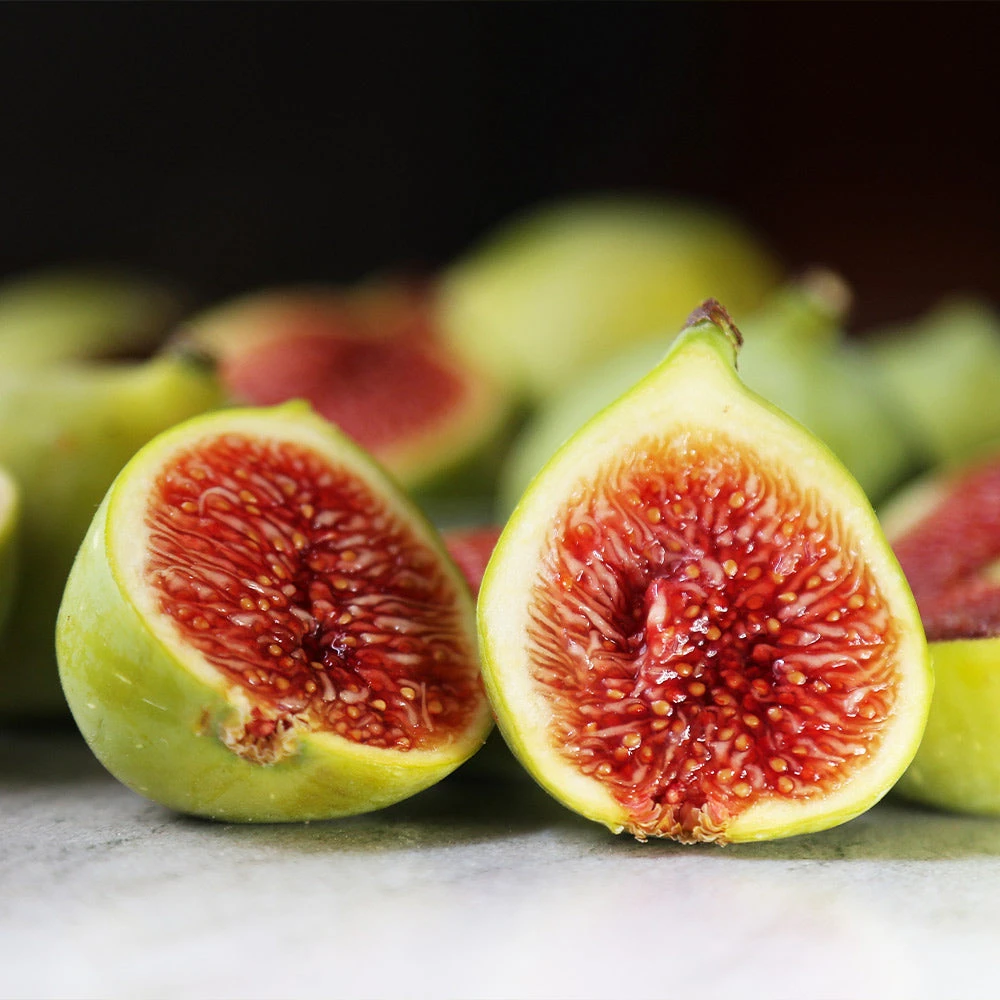 Desert King Fig Tree 6 Desert King Fig Tree - Image 4