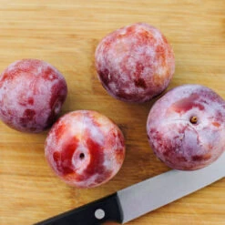 Dapple Dandy Pluot Tree 7 Dapple Dandy Pluot Tree -Plant Seed Store Dapple Dandy 2