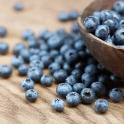 Emerald Blueberry Bush 7 Emerald Blueberry Bush -Plant Seed Store Emerald Blueberries 1