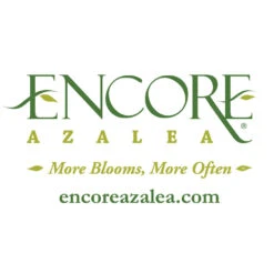 Autumn Belle® Encore® Azalea Shrub -Plant Seed Store Encore Logo 1000x1000 f5ab977c d52a 42c7 bcc7 eb2c9ea0b488