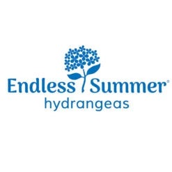 Endless Summer® Summer Crush® Hydrangea -Plant Seed Store Endless Summer Hydrangeas 1000x1000 347a4889 45a5 42f4 94f1 e0220955e380