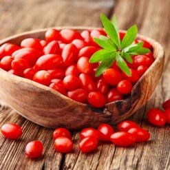 Goji Berry -Plant Seed Store Goji Berry 4