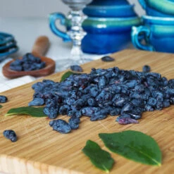 Indigo Treat Haskap (Honeyberry) 8 Indigo Treat Haskap (Honeyberry) -Plant Seed Store Indigo Treat Hascap 2 BB