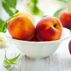 June Gold Peach Tree -Plant Seed Store June Gold peaches 4