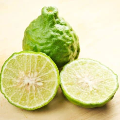 Kaffer 'Kieffer' Lime Tree -Plant Seed Store Kaffir Lime 7 FGT