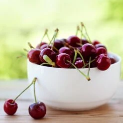 Lapins Cherry Tree -Plant Seed Store Lapins Cherry Tree 2 FGT 325a18e6 7143 4729 a41b b0d9614909b8