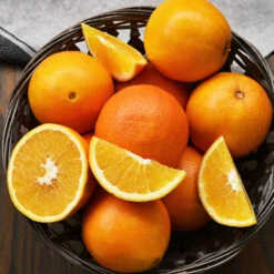Lane Late Navel Orange 11 Lane Late Navel Orange -Plant Seed Store Late Lane Orange 3 FGT