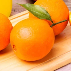 Navel Orange Tree - USDA Organic 11 Navel Orange Tree - USDA Organic -Plant Seed Store Navel Orange 2 FGT 14629529 59ec 469f 9eb9 2f95d6d1513b