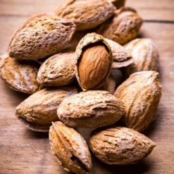 Nonpareil Almond Tree 10 Nonpareil Almond Tree -Plant Seed Store Nonpareil Almonds 3