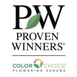 Sprinter® Boxwood Shrub -Plant Seed Store PW Logo CC 1000x1000 c7e5005e 0826 4154 86ed def94c16a032