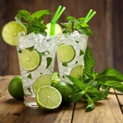 Persian 'Bearss' Lime Tree - USDA Organic -Plant Seed Store Persian Lime Tree 4 FGT 3e2376b1 dd45 4777 a1e5 8c0e252ea773