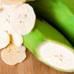 Puerto Rican Plantain Banana Tree 12 Puerto Rican Plantain Banana Tree -Plant Seed Store Puerto Rican Plantain Banana Tree 3