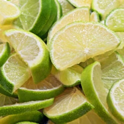 Persian 'Bearss' Lime Bush -Plant Seed Store Pursian Lime Bush 1 FGT 8e948345 4f0b 4e96 a96f a17b7b31b7ab