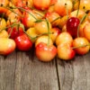 Rainier Cherry Tree -Plant Seed Store Rainier Cherry Tree FGT 600x600 1094475e 5dab 4191 8167 5c5a6519bb91