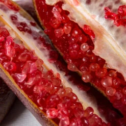 Red Finger Lime Tree 11 Red Finger Lime Tree -Plant Seed Store Red FInger Lime 1 1453b836 c1a1 4844 92f1 11e49d09cc4d