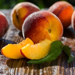 Red Baron Peach Tree -Plant Seed Store Red Baron Peach 4