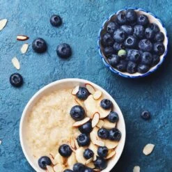 Reveille Blueberry Bush -Plant Seed Store Reville Blueberry 2