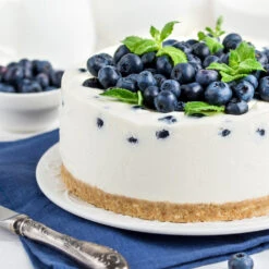 Sunshine Blue Blueberry Bush -Plant Seed Store SUnshine BLue Blueberry 4