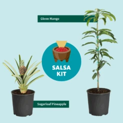 Salsa Kit 10 Salsa Kit -Plant Seed Store SalsaKitGraphic