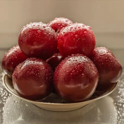 Satsuma Plum Tree -Plant Seed Store Satsuma Plum 3