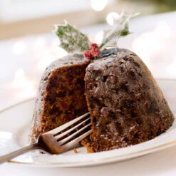 Satsuma Plum Tree -Plant Seed Store Satsuma Plum 4