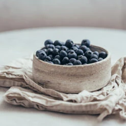 Sharpblue Blueberry Bush -Plant Seed Store Sharpblue Blueberry 1