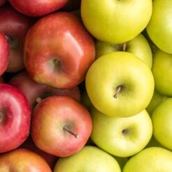 5-in-1 Apple Surprise Tree -Plant Seed Store Surprise Apple 1