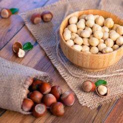 Theta Filbert Hazelnut -Plant Seed Store THeta FIlbert Hazelnut 4