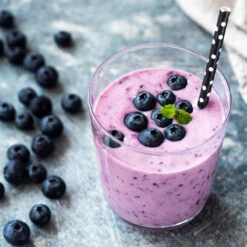 Tifblue Blueberry Bush -Plant Seed Store TifBlue Blueberry 5