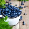 Tifblue Blueberry Bush -Plant Seed Store TifBlue Blueberry 600x600 bd276aa1 fc84 48b0 90e6 01d4a83ca51d