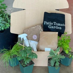 Patio Tomato Garden -Plant Seed Store Tomato Garden kit 2
