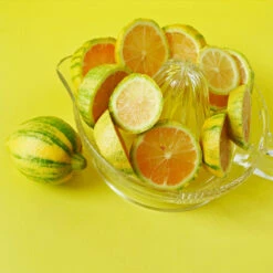 Pink Variegated Eureka Lemon Tree 12 Pink Variegated Eureka Lemon Tree -Plant Seed Store Variegated Pink Eureka 3 fc1d5a93 7ca6 443b a4e9 221de3f12f84